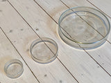 Glass petri dish
