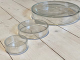 Glass petri dish