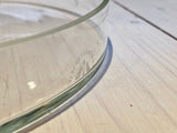 Glass petri dish